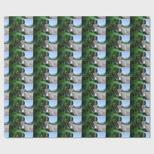 Papier Cadeau Joli portrait d'âne (Plat)