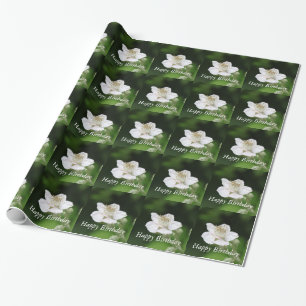 Papier Cadeau Joli printemps blanc framboise photo