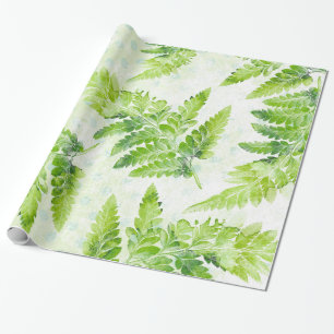 Papier Cadeau Jolie Ferne Botanique Motif d'aquarelle verte