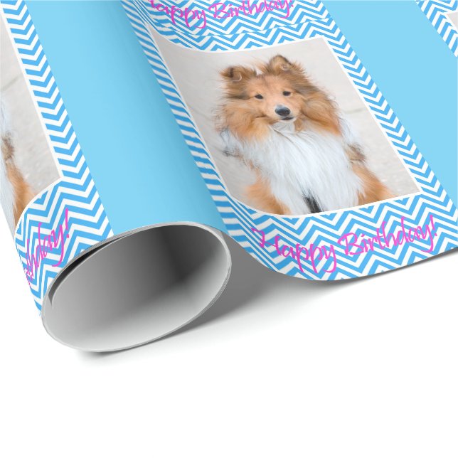 Papier Cadeau Jolie Sheltie Shetland Sheepdog Joyeux anniversair (Coin rond)
