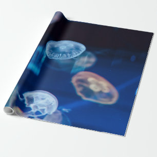 Papier Cadeau Jolie vie marine