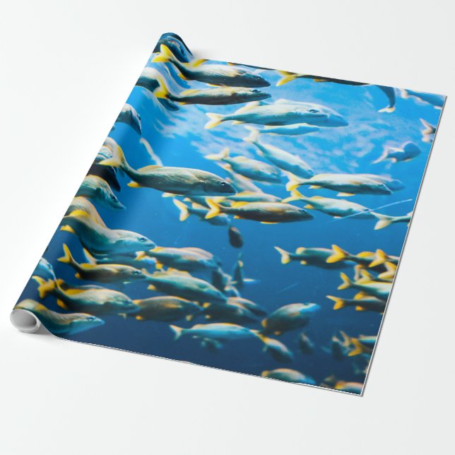 Papier Cadeau Jolie vie marine (Déroulé)