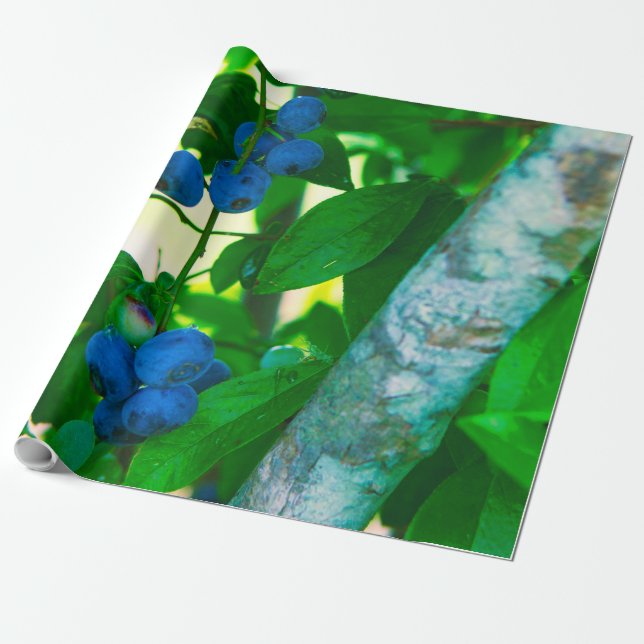 Papier Cadeau Jolies légumes (Déroulé)