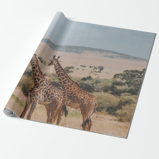PAPIER CADEAU JOURNÉE MONDIALE DE LA FAUNE (Déroulé)