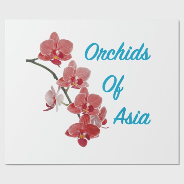 Papier Cadeau Journee Spa Orchidées d'Asie (Plat)