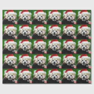 Papier Cadeau Joyeuses Fêtes de Red Panda Père Noël
