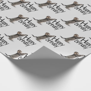 Papier Cadeau Joyeux Anniversaire chat tigré amusant
