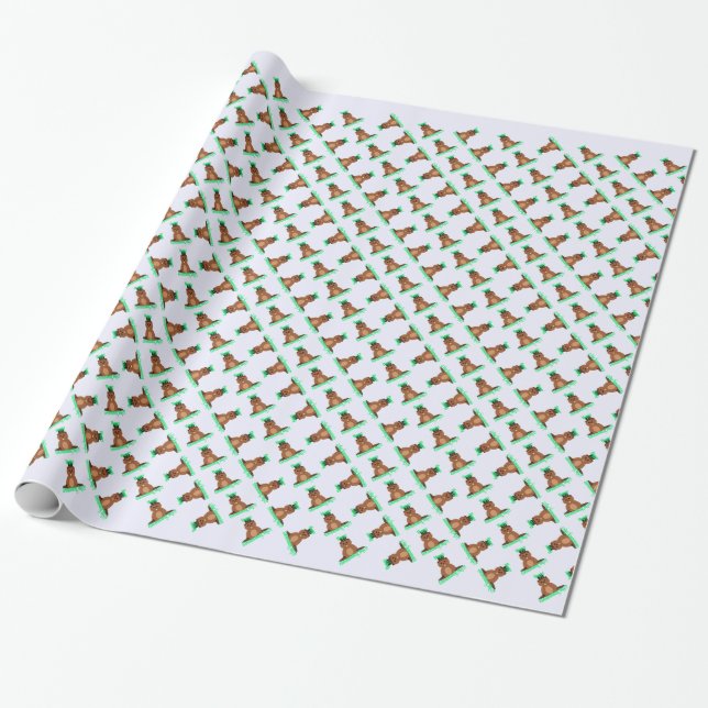 Papier Cadeau Joyeux Jour de la Marmotte ! (Déroulé)