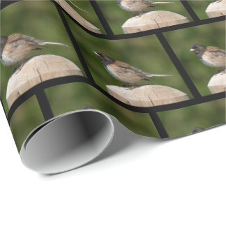 Papier Cadeau Junco aux yeux noirs - Photographie d'art d'oiseau