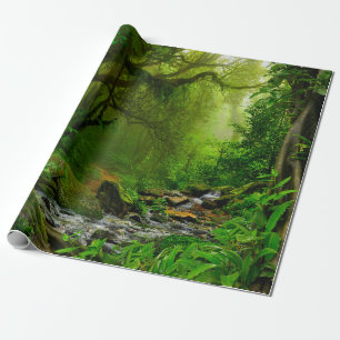 Papier Cadeau jungle népalaise avec rivière, forêt, sol, rivière