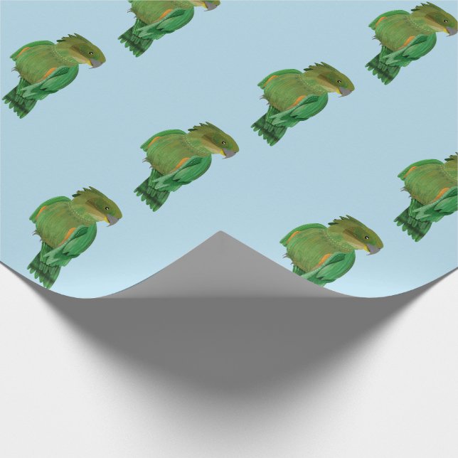 Papier Cadeau Kea NZ BIRD (Coin)