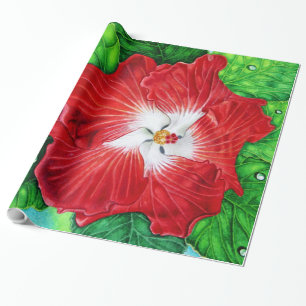 Papier Cadeau Ketmie hawaïenne