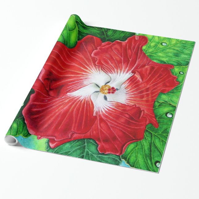 Papier Cadeau Ketmie hawaïenne (Déroulé)
