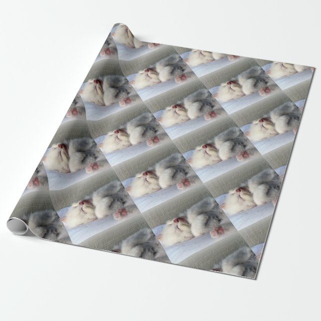 Papier Cadeau Kitten endormi (Déroulé)