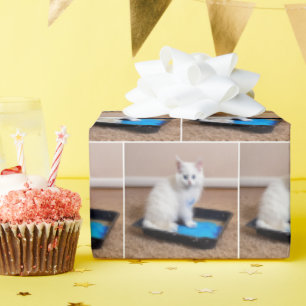 Papier Cadeau Kitts Blanc En Peinture Bleue