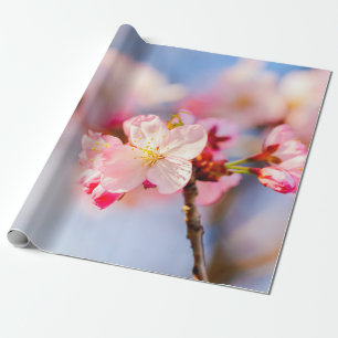 Papier Cadeau La Beauté Brillante Des Fleurs De Sakura Rose