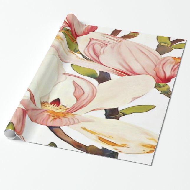 Papier Cadeau La magnolia rose de corail botanique fleurit l'art (Déroulé)