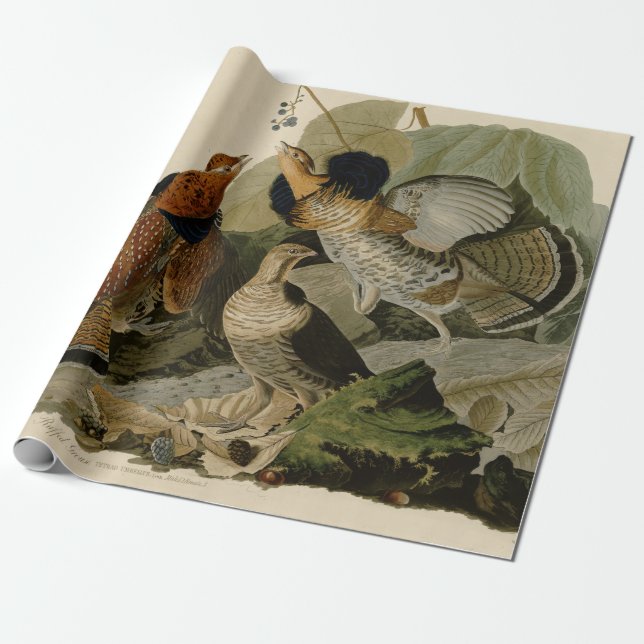 Papier Cadeau La peinture d'Audubon d'un trio de Grouse Ruffed (Déroulé)