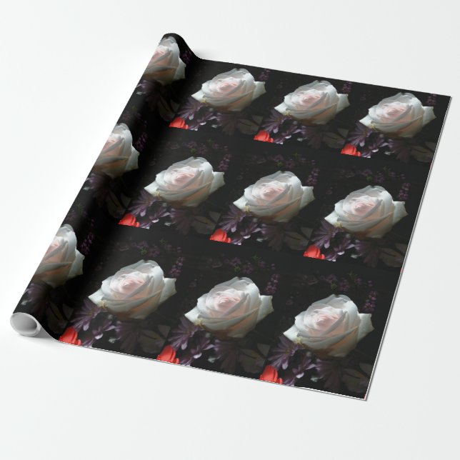 Papier Cadeau La Rose Blanche (Déroulé)