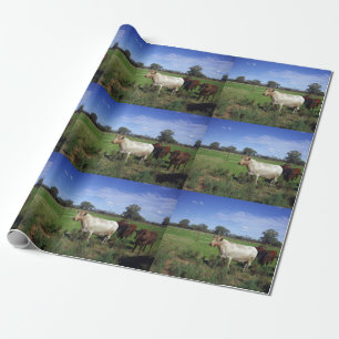 Papier Cadeau La Vache Blanche Et Son Troupeau,
