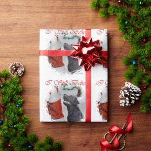 Papier Cadeau Labrador Retriever Believe Christmas