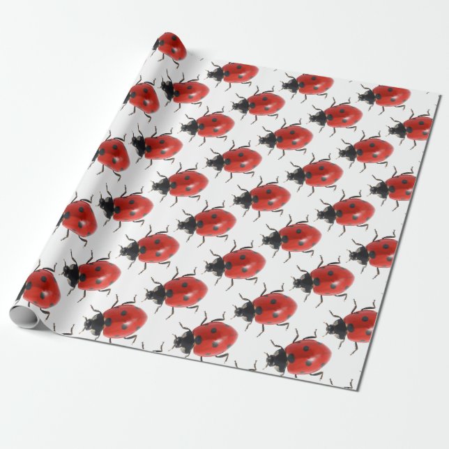 Papier Cadeau Ladybug (Déroulé)