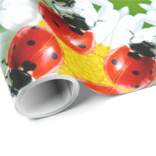 Papier Cadeau Ladybugs Art 1