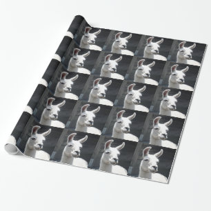 Papier cadeau lama souriant