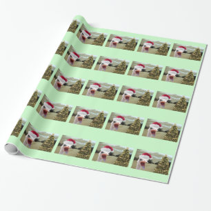 Papier Cadeau L'autruche devient Excited au-dessus de Noël
