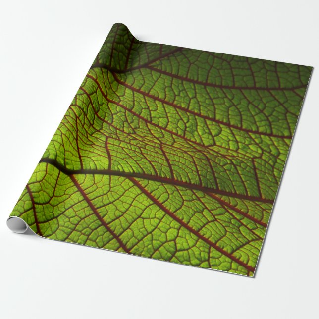Papier Cadeau Leaf macro veine leaf veine green (Déroulé)