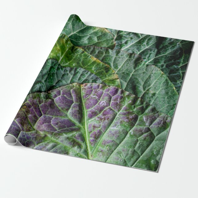 Papier Cadeau Légume vert (Déroulé)