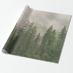 Papier Cadeau Les arbres de la forêt de Foggy