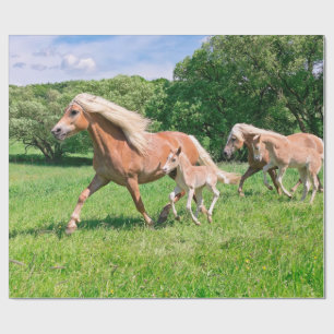 Papier Cadeau Les chevaux de Haflinger avec les poulains mignons