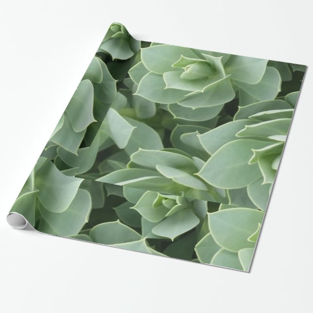 Papier Cadeau Les fleurs vertes (Déroulé)