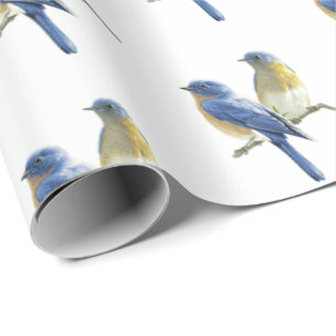 Papier Cadeau Les oiseaux bleus en blanc