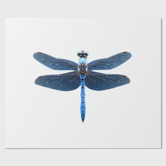 Papier Cadeau Libellule bleue - Ento amateur d'insectes faune (Plat)