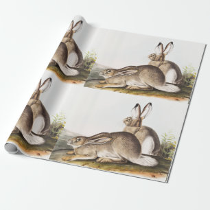 Papier Cadeau Lièvre des Rocheuses de Townsend (Lepus Townsendii