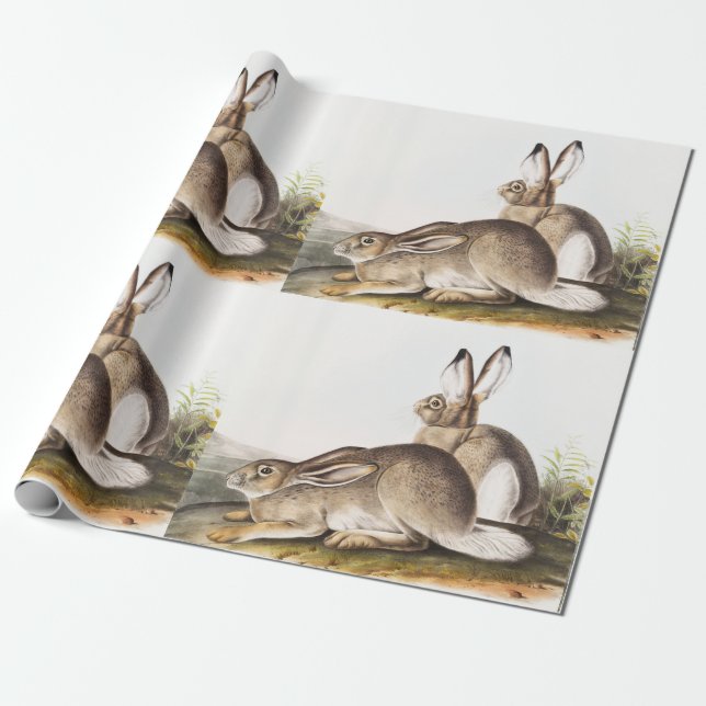 Papier Cadeau Lièvre des Rocheuses de Townsend (Lepus Townsendii (Déroulé)