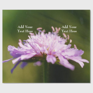 Papier Cadeau Lilac Scabious (Knautia arvensis) Fleur Custom