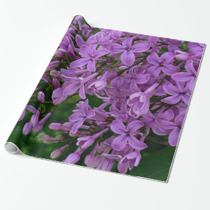 Papier Cadeau Lilas violet romantique élégant violet photo flora