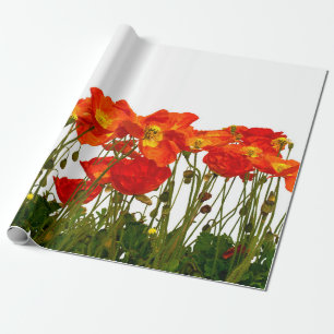 Papier Cadeau Line of red poppies isolatedart, background, beaut
