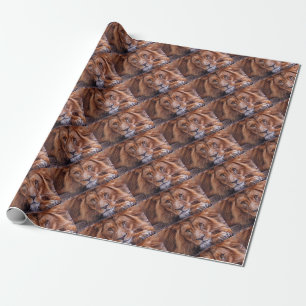 Papier Cadeau Lion africain