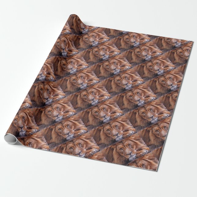 Papier Cadeau Lion africain (Déroulé)