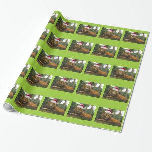 Papier Cadeau Lion utilisant le casquette de Père Noël pour No