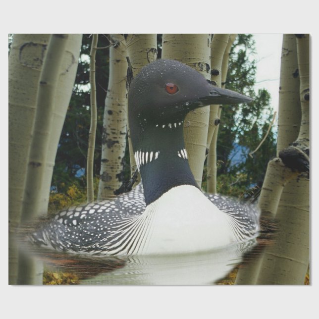Papier Cadeau Loon sauvage (Plat)
