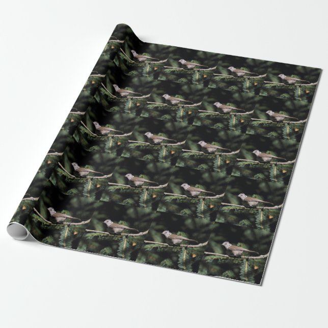 Papier Cadeau Lophophane cristatus (Déroulé)