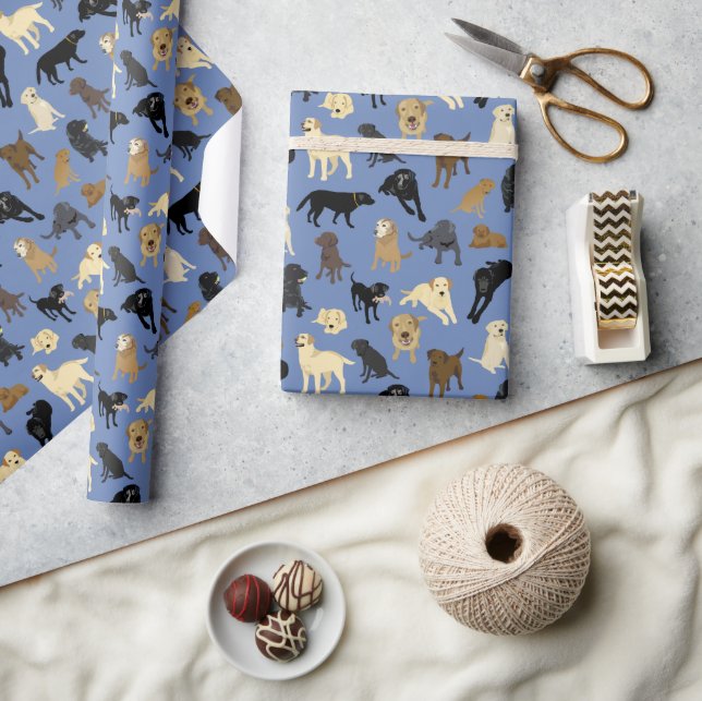 Papier Cadeau Lotsa Labs sur denim bleu rouleau de (Artisanat)