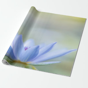 Papier Cadeau Lotus bleu élégant