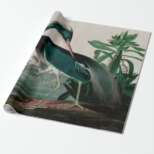 Papier Cadeau Louisiana Heron Birds of America Audubon Imprimer