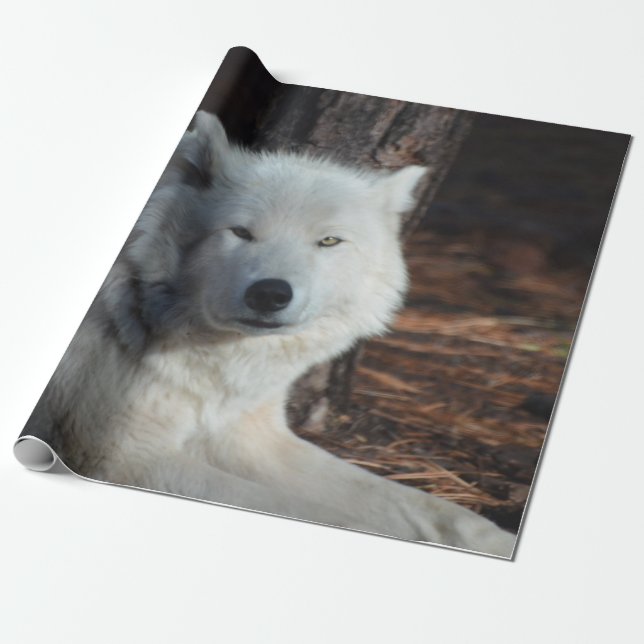 Papier Cadeau Loup arctique adorable (Déroulé)